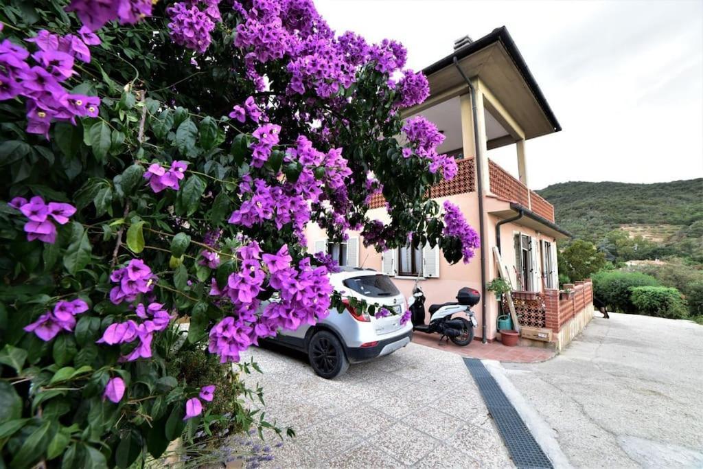 Casa Vacanze Il Pastore Tedesco Портоферрайо Экстерьер фото